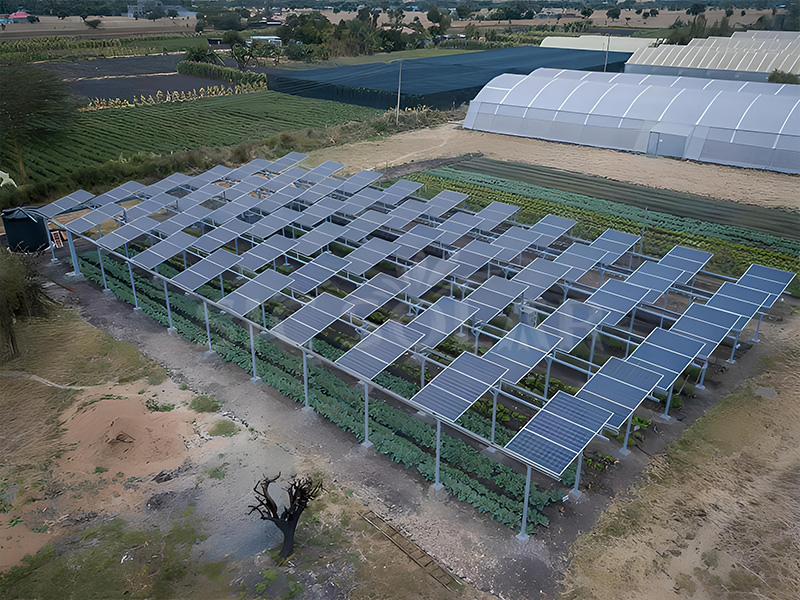 Photovaltaic greenhouse farm system