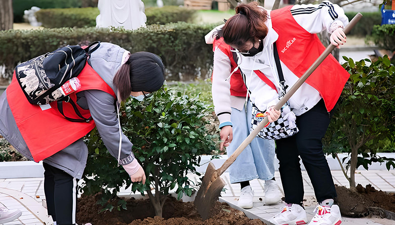 SIC Solar Leads the Way in Green Initiatives with Tree Planting Event on Arbor Day