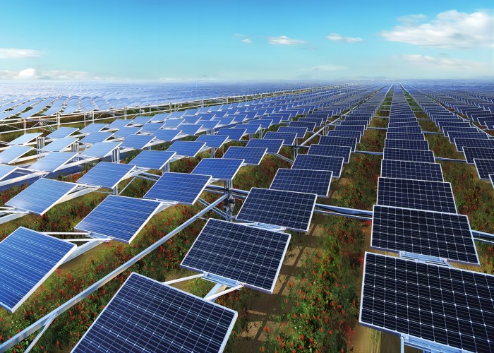 solar farms