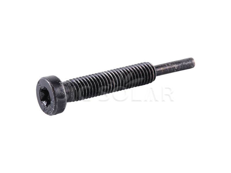 Black Torx Head Step Bolt