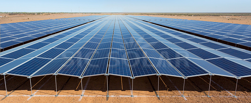 Solar Panel For Agriculture