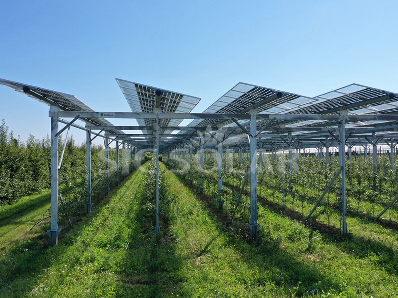 solar mounting for agriculture