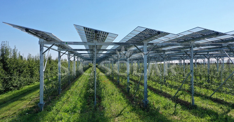 solar panels and agriculture solar panels and agriculture