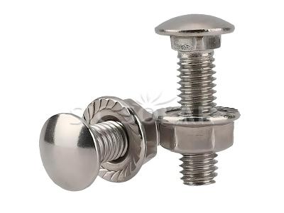 Musgroom Head Square Neck Carriage Bolt