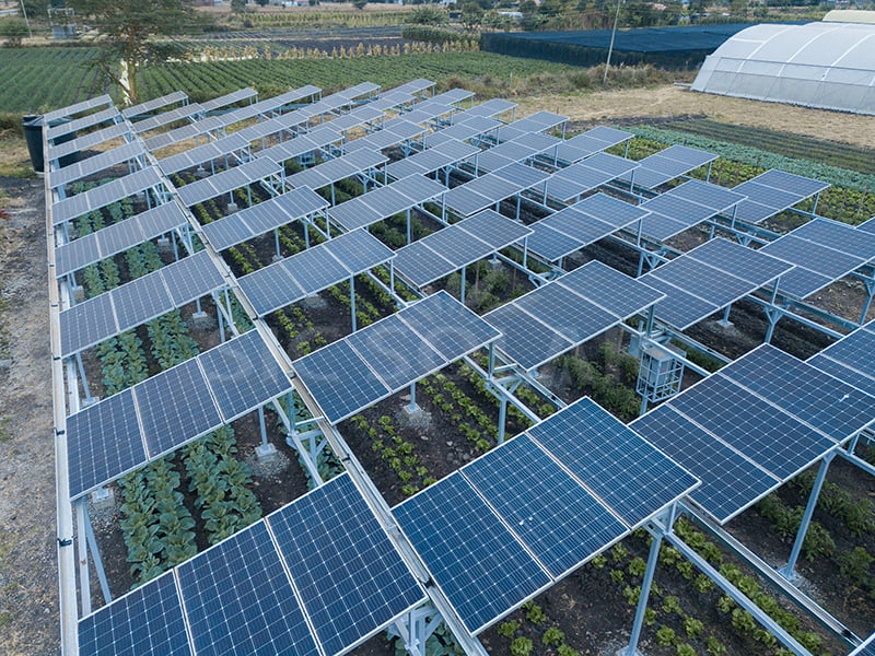 100KW One-way Agricultural Solar Mounting System In Japan
