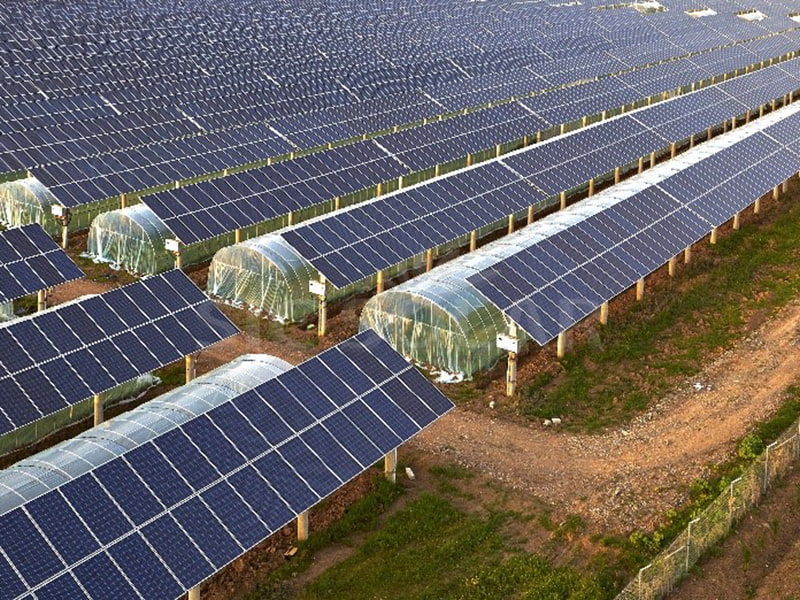 10MW Farm Solar Mounting System In India